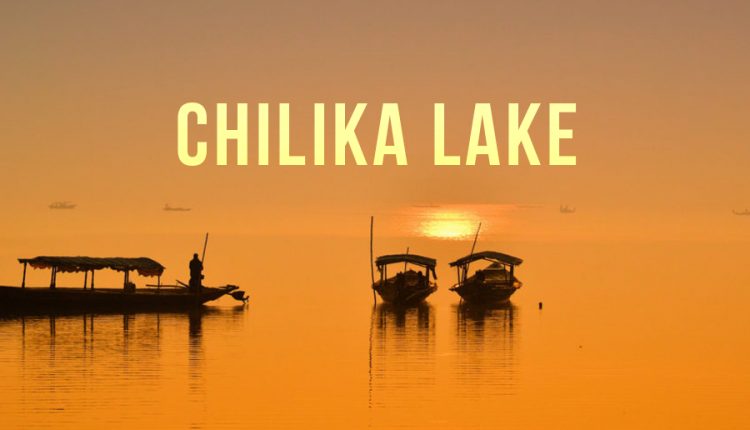 Chilika Lake – Best Places To Visit In Odisha