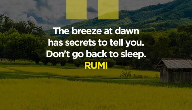 Best-Rumi-Quotes-8