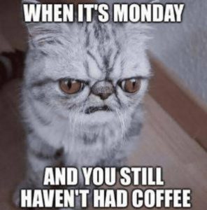 40 Best Monday Memes To Kickstart Your Week