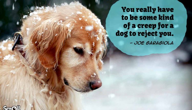 Dog Quotes 6