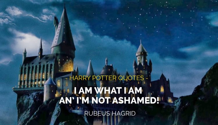 Harry-Potter-Quotes-18