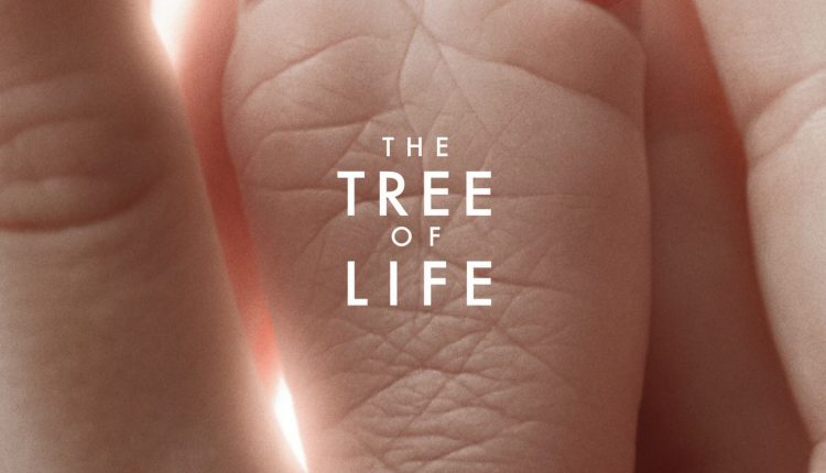 the-tree-of-life-best-brad-pitt-movies