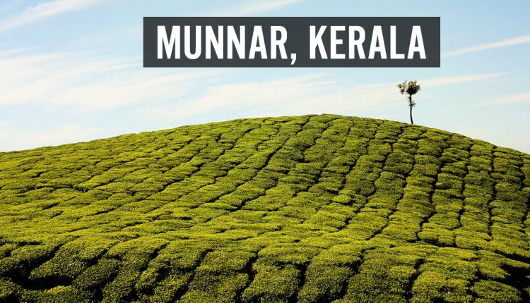 Munnar Places To Visit In India In March Featured The Best Of Indian Pop Culture And What S