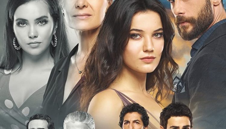 Restless-Wind-best-Hindi-dubbed-Turkish-dramas