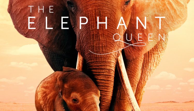 The-Elephant-queen-Best-Movies-On-Apple-TV