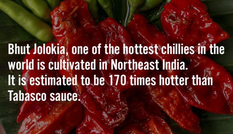 nteresting-Facts-About-Indian-Food-12
