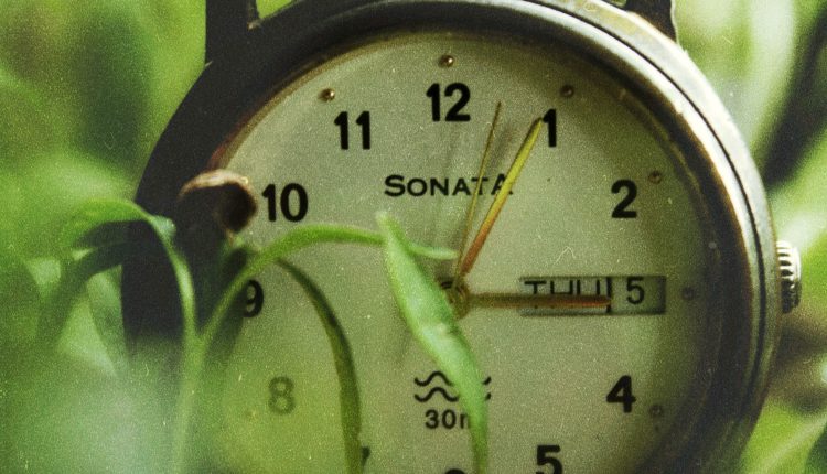 sonata-mens-watch-brands-in-india